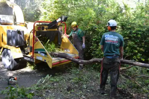 tree services Blue Grass